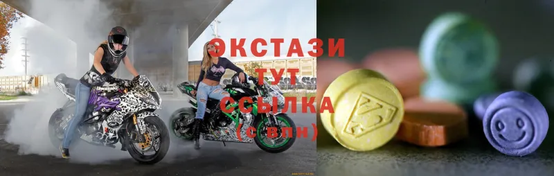 Ecstasy бентли  Стародуб 